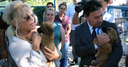 MUĞLA'DA 3 BİN 596 CAN DOSTU SAHİPLENDİRİLDİ