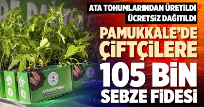 PAMUKKALE’DE ÇİFTÇİLERE 105 BİN SEBZE FİDESİ