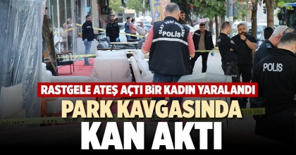 PARK KAVGASINDA KAN AKTI