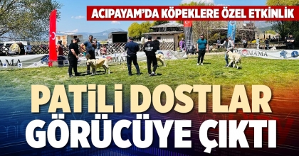 PATİLİ DOSTLAR GÖRÜCÜYE ÇIKTI