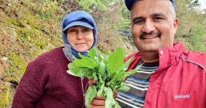 SARIGÖL'DE KUZUGÖBEĞİ VE ACI OT MESAİSİ