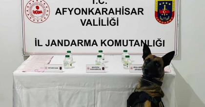 ŞEHİR DIŞINDAN GETİRDİĞİ ZEHRİ SATAMADAN JANDARMAYA YAKALANDI