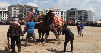 30 YIL SONRA CAMİ YARARINA DEVE GÜREŞİ DÜZENLENDİ