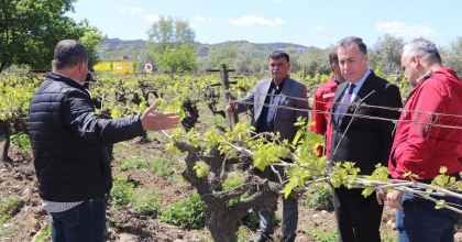 TURGUTLU'DA YETKİLİLER SAHADA DON VURAN ARAZİLERİ İNCELEDİ