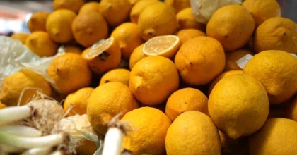 LİMON İHRACATI DURDURULDU