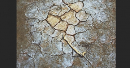 “SU HİKÂYELERİ” SERGİSİ KAPILARINI SANATSEVERLERE AÇIYOR