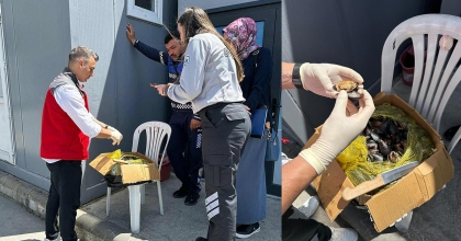 100 KİLOGRAM SAĞLIKSIZ MİDYEYE EL KONULDU