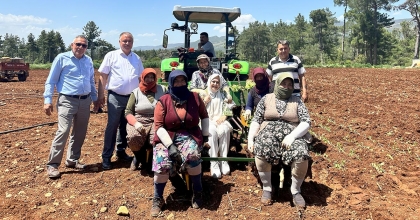 ANNELER GÜNÜ’NÜ TÜTÜN TARLASINDA KUTLADILAR