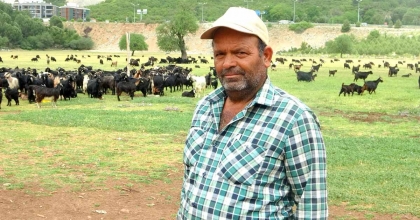 KURBANLIK SATIŞLARI BAŞLADI, TALEP GEÇMİŞ YILLARA GÖRE DÜŞÜK KALDI