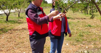 ALTINTAŞ'TA ZİRAİ DON KONTROLLERİ