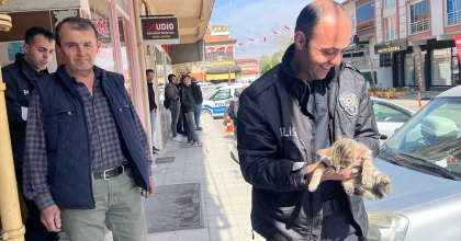 ARACIN MOTORUNA GİREN YAVRU KEDİYİ POLİS KURTARDI