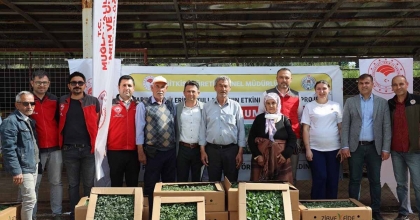 ATA TOHUMU PROJESİ MENTEŞE’DE BAŞLADI
