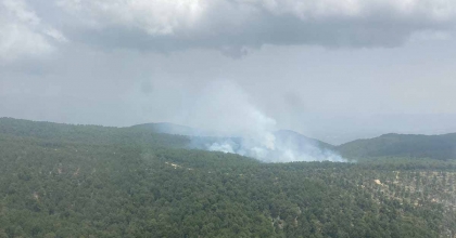 AYDIN’DAKİ ORMAN YANGINI KONTROL ALTINA ALINDI