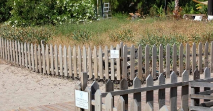 BU ÇİÇEĞİ KOPARMANIN CEZASI 387 BİN TL