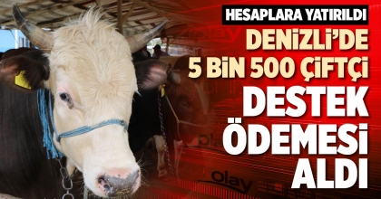 DENİZLİ’DE 5 BİN 500 ÇİFTÇİ DESTEK ÖDEMESİ ALDI