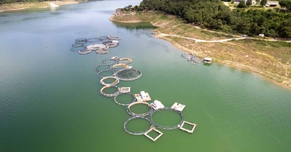 DENİZİ OLMAYAN MANİSA'DAN DÜNYA SOFRALARINA SOMON İHRACATI