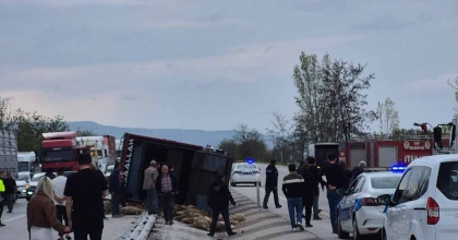 DEVRİLEN KAMYONDA 53 KOYUN TELEF OLDU