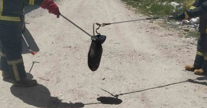 GEDİZ’DE BAHARIN GELMESİYLE YILANLAR GÖRÜLMEYE BAŞLADI