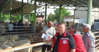 HAYVAN PAZARINDA BAYRAM ÖNCESİ SIKI DENETİM