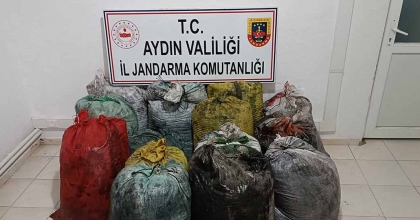 İZİNSİZ ZEYTİN TOPLAYAN 11 ŞÜPHELİ YAKALANDI