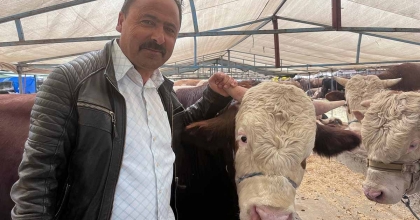 İZMİR'DE CANLI HAYVAN PAZARLARINDA KURBAN HAREKETLİLİĞİ