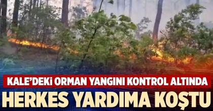 KALE’DEKİ ORMAN YANGINI KONTROL ALTINDA