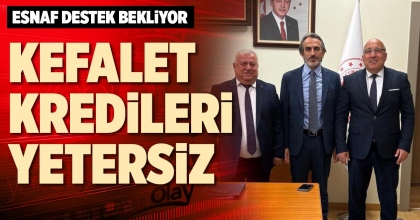 KEFALET KREDİLERİ YETERSİZ