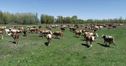 KIRSALDA BEREKET PROJESİNDE HAK SAHİPLERİ BELİRLENDİ