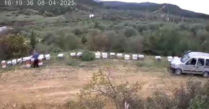 KOVAN HIRSIZI GÜVENLİK KAMERASINDA