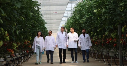 JEOTERMAL SERADAN AVRUPA'YA 500 TON DOMATES İHRACATI