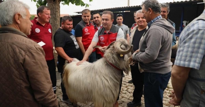 KURBAN PAZARLARINDA SAĞLIK VE HİJYEN KONTROLÜ