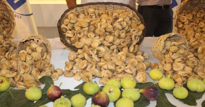 KURU İNCİR İHRACATI YÜZDE 28 BÜYÜDÜ