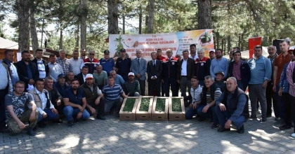 KUYUCAK'TA 220 BİN DOMATES FİDESİ DAĞITILDI