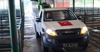 MANİSA'DA KURBAN BAYRAMI PADOK SATIŞLARI BAŞLADI