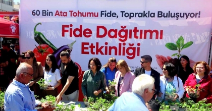 MENTEŞE BELEDİYESİ 60 BİN FİDE DAĞITTI