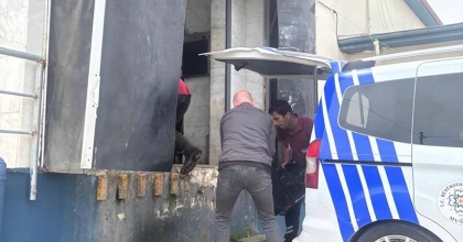 MENTEŞE OTOGARINDA SAĞLIKSIZ TAVUK DÖNER ELE GEÇİRİLDİ