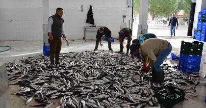 MUĞLA’DAN ÜLKE EKONOMİSİNE 95,2 MİLYON DOLARLIK İHRACAT KATKISI