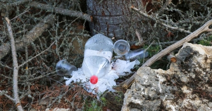 ORMANLAR TEMİZLENECEK