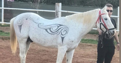 SANATINI ATA İŞLEDİ