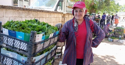SARIGÖL’DE BAĞ YAPRAĞI SEZONU AÇILDI