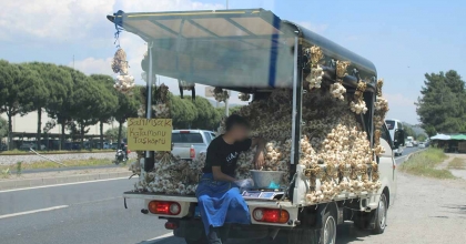 SARIMSAK SATICISININ TEHLİKELİ YOLCULUĞU