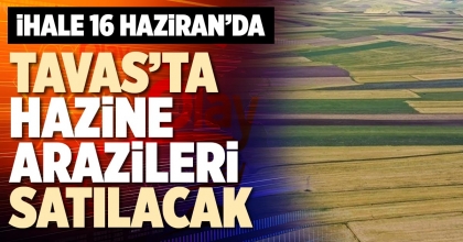 TAVAS’TA HAZİNE ARAZİLERİ SATILACAK