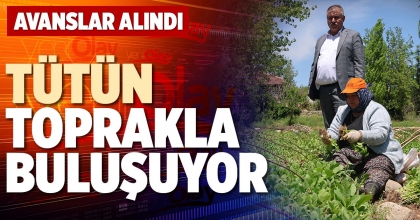 FİDELER TOPRAKLA BULUŞUYOR