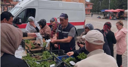 TAVŞANLI'DA 20 BİN ADET BİBER FİDESİ DAĞITILDI