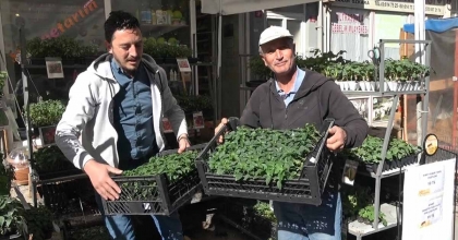 TAVŞANLI'DA FİDE ÇEŞİTLİLİĞİ İLE VERİMLİ SEZON BEKLENİYOR