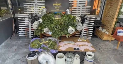 VİLLANIN ODALARINI UYUŞTURUCU TARLASINA DÖNÜŞTÜRMÜŞ