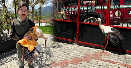 YARALI LEYLEĞE ORMANCI ŞEFKATİ