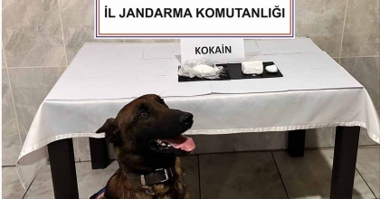 YATAĞAN’DA YOLCU OTOBÜSÜNDE 290 GRAM KOKAİN YAKALANDI