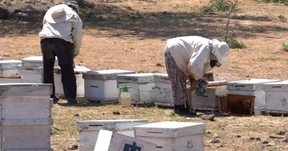 YUNUSEMRE BELEDİYESİNDEN ARICILIĞA TAM DESTEK