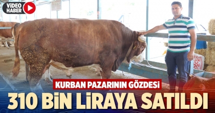 KURBAN PAZARININ GÖZDESİ 310 BİN LİRAYA SATILDI